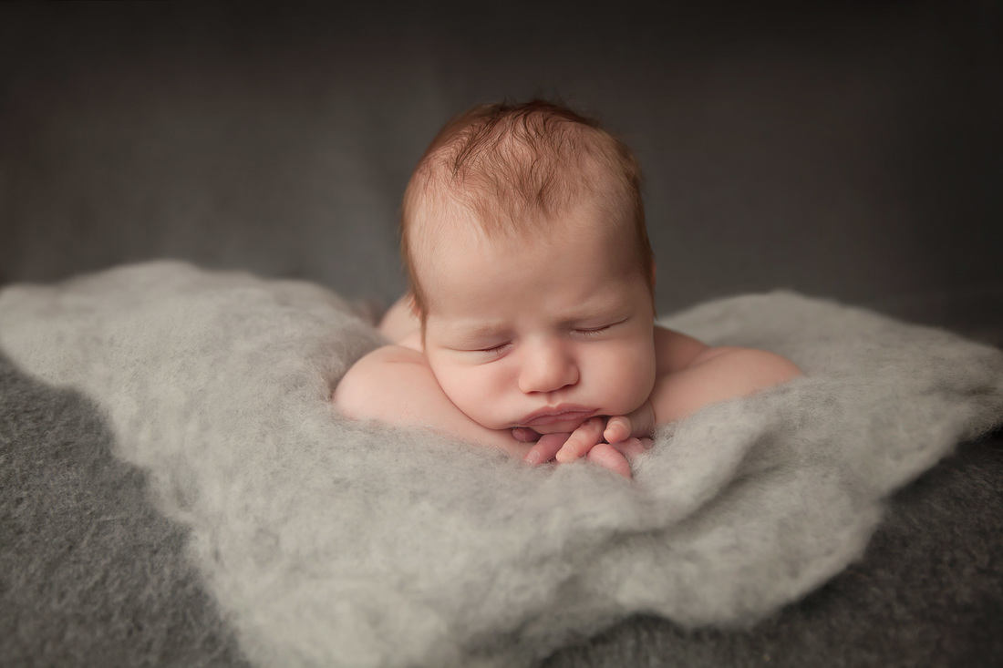 moncton newborn photographer 